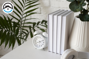 Đồng hồ decor